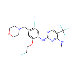 CNc1nc(Nc2cc(F)c(CN3CCOCC3)cc2OCCF)ncc1C(F)(F)F ZINC000205928606