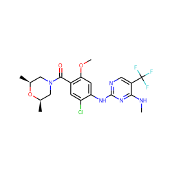 CNc1nc(Nc2cc(OC)c(C(=O)N3C[C@H](C)O[C@H](C)C3)cc2Cl)ncc1C(F)(F)F ZINC000169705163