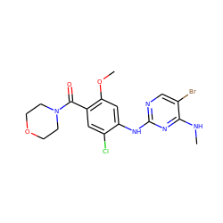 CNc1nc(Nc2cc(OC)c(C(=O)N3CCOCC3)cc2Cl)ncc1Br ZINC000169705187