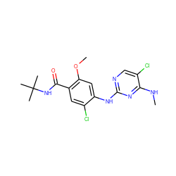 CNc1nc(Nc2cc(OC)c(C(=O)NC(C)(C)C)cc2Cl)ncc1Cl ZINC000169705099