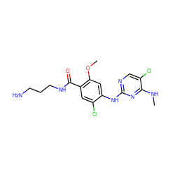 CNc1nc(Nc2cc(OC)c(C(=O)NCCCN)cc2Cl)ncc1Cl ZINC000169705137