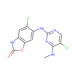 CNc1nc(Nc2cc3oc(=O)[nH]c3cc2Cl)ncc1Cl ZINC000169704570