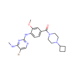 CNc1nc(Nc2ccc(C(=O)N3CCN(C4CCC4)CC3)cc2OC)ncc1Br ZINC000169705048