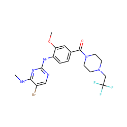 CNc1nc(Nc2ccc(C(=O)N3CCN(CC(F)(F)F)CC3)cc2OC)ncc1Br ZINC000169705051