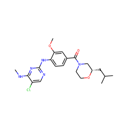 CNc1nc(Nc2ccc(C(=O)N3CCO[C@@H](CC(C)C)C3)cc2OC)ncc1Cl ZINC000147721839