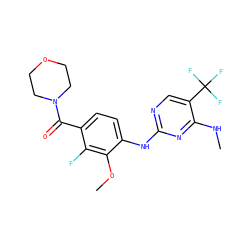 CNc1nc(Nc2ccc(C(=O)N3CCOCC3)c(F)c2OC)ncc1C(F)(F)F ZINC000095575220