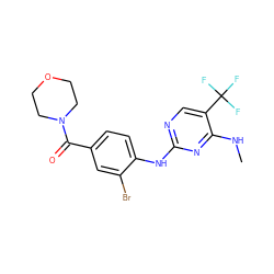 CNc1nc(Nc2ccc(C(=O)N3CCOCC3)cc2Br)ncc1C(F)(F)F ZINC000169705188