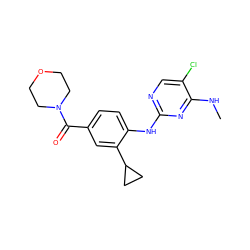 CNc1nc(Nc2ccc(C(=O)N3CCOCC3)cc2C2CC2)ncc1Cl ZINC000169705117