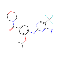 CNc1nc(Nc2ccc(C(=O)N3CCOCC3)cc2OC(C)C)ncc1C(F)(F)F ZINC000169705129