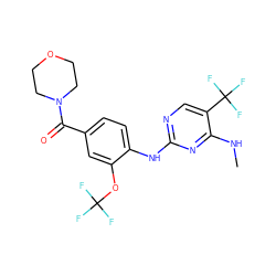 CNc1nc(Nc2ccc(C(=O)N3CCOCC3)cc2OC(F)(F)F)ncc1C(F)(F)F ZINC000169705142