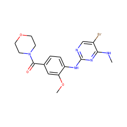 CNc1nc(Nc2ccc(C(=O)N3CCOCC3)cc2OC)ncc1Br ZINC000095555601