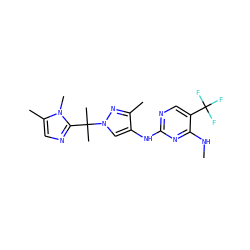 CNc1nc(Nc2cn(C(C)(C)c3ncc(C)n3C)nc2C)ncc1C(F)(F)F ZINC000205702003