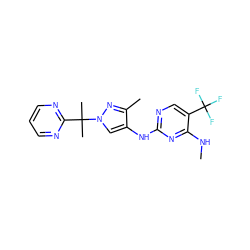 CNc1nc(Nc2cn(C(C)(C)c3ncccn3)nc2C)ncc1C(F)(F)F ZINC000205708331