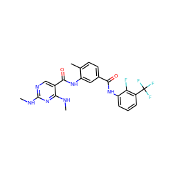 CNc1ncc(C(=O)Nc2cc(C(=O)Nc3cccc(C(F)(F)F)c3F)ccc2C)c(NC)n1 ZINC000029127808