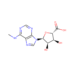 CNc1ncnc2c1ncn2[C@H]1O[C@H](C(=O)O)[C@@H](O)[C@H]1O ZINC000048998355