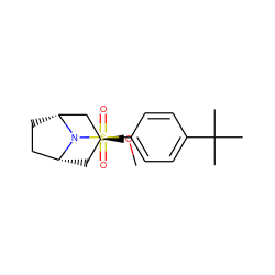 CO[C@H]1C[C@@H]2CC[C@H](C1)N2S(=O)(=O)c1ccc(C(C)(C)C)cc1 ZINC000253783073