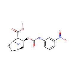 COC(=O)[C@@H]1[C@@H](OC(=O)Nc2cccc([N+](=O)[O-])c2)C[C@H]2CC[C@H]1N2C ZINC000100655126