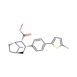 COC(=O)[C@@H]1[C@H](c2ccc(-c3ccc(I)s3)cc2)C[C@H]2CC[C@H]1N2C ZINC000101005392