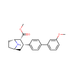 COC(=O)[C@@H]1[C@H](c2ccc(-c3cccc(OC)c3)cc2)C[C@H]2CC[C@H]1N2C ZINC000100801654