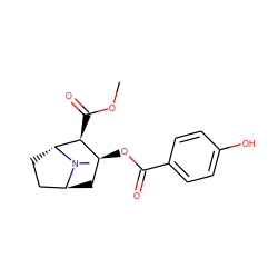 COC(=O)[C@H]1[C@@H](OC(=O)c2ccc(O)cc2)C[C@H]2CC[C@H]1N2C ZINC000101085858