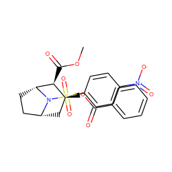 COC(=O)[C@H]1[C@@H](OC(=O)c2ccccc2)C[C@@H]2CC[C@H]1N2S(=O)(=O)c1ccc([N+](=O)[O-])cc1 ZINC000013738789