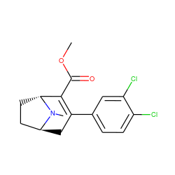 COC(=O)C1=C(c2ccc(Cl)c(Cl)c2)C[C@H]2CC[C@H]1N2C ZINC000100825148