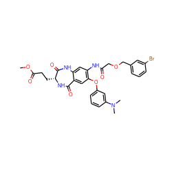 COC(=O)CC[C@H]1NC(=O)c2cc(Oc3cccc(N(C)C)c3)c(NC(=O)COCc3cccc(Br)c3)cc2NC1=O ZINC001772581212