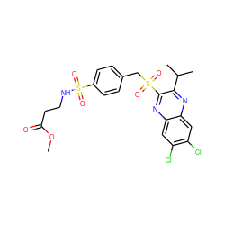 COC(=O)CCNS(=O)(=O)c1ccc(CS(=O)(=O)c2nc3cc(Cl)c(Cl)cc3nc2C(C)C)cc1 ZINC000028950903