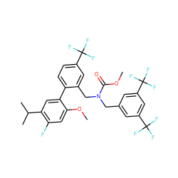 COC(=O)N(Cc1cc(C(F)(F)F)cc(C(F)(F)F)c1)Cc1cc(C(F)(F)F)ccc1-c1cc(C(C)C)c(F)cc1OC ZINC000072149363