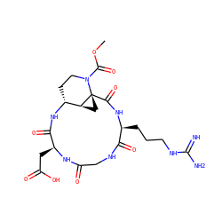 COC(=O)N1CC[C@H]2NC(=O)[C@H](CC(=O)O)NC(=O)CNC(=O)[C@H](CCCNC(=N)N)NC(=O)[C@@]13C[C@@H]23 ZINC000653690014