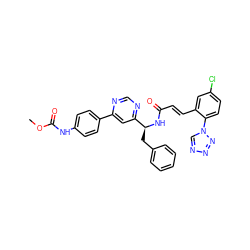 COC(=O)Nc1ccc(-c2cc([C@H](Cc3ccccc3)NC(=O)/C=C/c3cc(Cl)ccc3-n3cnnn3)ncn2)cc1 ZINC000653718835