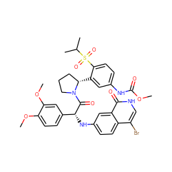 COC(=O)Nc1ccc(S(=O)(=O)C(C)C)c([C@H]2CCCN2C(=O)[C@H](Nc2ccc3c(Br)c[nH]c(=O)c3c2)c2ccc(OC)c(OC)c2)c1 ZINC000164433725