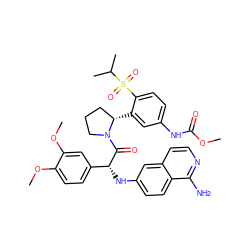 COC(=O)Nc1ccc(S(=O)(=O)C(C)C)c([C@H]2CCCN2C(=O)[C@H](Nc2ccc3c(N)nccc3c2)c2ccc(OC)c(OC)c2)c1 ZINC000150601846