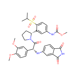COC(=O)Nc1ccc(S(=O)(=O)C(C)C)c([C@H]2CCCN2C(=O)[C@H](Nc2ccc3c(c2)C(=O)NC3=O)c2ccc(OC)c(OC)c2)c1 ZINC000200890058
