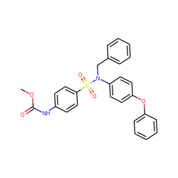 COC(=O)Nc1ccc(S(=O)(=O)N(Cc2ccccc2)c2ccc(Oc3ccccc3)cc2)cc1 ZINC001772654952