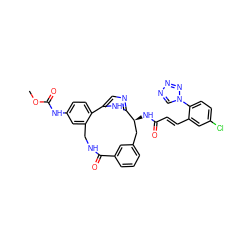 COC(=O)Nc1ccc2c(c1)CNC(=O)c1cccc(c1)C[C@H](NC(=O)/C=C/c1cc(Cl)ccc1-n1cnnn1)c1ncc-2[nH]1 ZINC000205709149