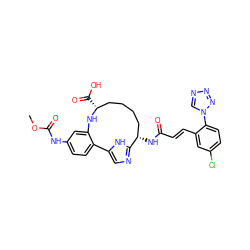 COC(=O)Nc1ccc2c(c1)N[C@H](C(=O)O)CCCC[C@H](NC(=O)/C=C/c1cc(Cl)ccc1-n1cnnn1)c1ncc-2[nH]1 ZINC000221640212