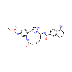 COC(=O)Nc1ccc2c(c1)NC(=O)C/C=C/C[C@H](NC(=O)c1ccc3c(c1)CCC[C@@H]3N)c1nc-2c[nH]1 ZINC000261175366