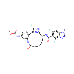 COC(=O)Nc1ccc2c(c1)NC(=O)CCCC[C@H](NC(=O)c1c(F)cc3c(ncn3C)c1F)c1nc-2c(F)[nH]1 ZINC000230573061