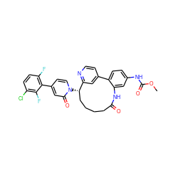 COC(=O)Nc1ccc2c(c1)NC(=O)CCCC[C@H](n1ccc(-c3c(F)ccc(Cl)c3F)cc1=O)c1cc-2ccn1 ZINC000169342454