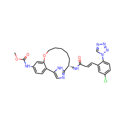 COC(=O)Nc1ccc2c(c1)OCCCCC[C@H](NC(=O)/C=C/c1cc(Cl)ccc1-n1cnnn1)c1ncc-2[nH]1 ZINC000198856666