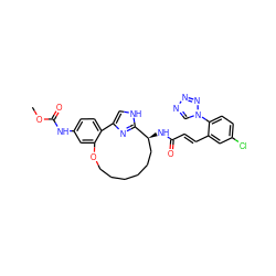 COC(=O)Nc1ccc2c(c1)OCCCCCC[C@H](NC(=O)/C=C/c1cc(Cl)ccc1-n1cnnn1)c1nc-2c[nH]1 ZINC000114222562