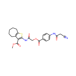 COC(=O)c1c(NC(=O)COC(=O)c2ccc(NC(=O)CC#N)cc2)sc2c1CCCCC2 ZINC000009509876