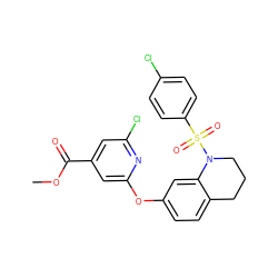 COC(=O)c1cc(Cl)nc(Oc2ccc3c(c2)N(S(=O)(=O)c2ccc(Cl)cc2)CCC3)c1 ZINC000103263453