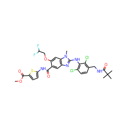 COC(=O)c1ccc(NC(=O)c2cc3nc(Nc4c(Cl)ccc(CNC(=O)C(C)(C)C)c4Cl)n(C)c3cc2OCC(F)F)s1 ZINC000169703108