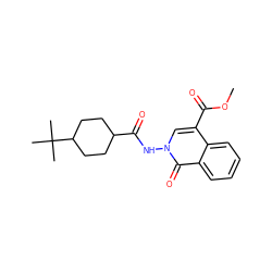 COC(=O)c1cn(NC(=O)C2CCC(C(C)(C)C)CC2)c(=O)c2ccccc12 ZINC000003630736