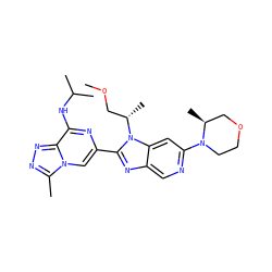 COC[C@H](C)n1c(-c2cn3c(C)nnc3c(NC(C)C)n2)nc2cnc(N3CCOC[C@@H]3C)cc21 ZINC001772653375
