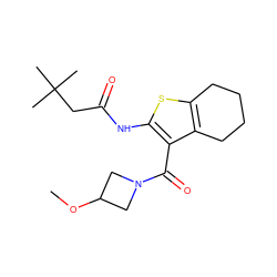 COC1CN(C(=O)c2c(NC(=O)CC(C)(C)C)sc3c2CCCC3)C1 ZINC000095558654