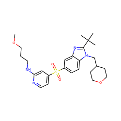 COCCCNc1cc(S(=O)(=O)c2ccc3c(c2)nc(C(C)(C)C)n3CC2CCOCC2)ccn1 ZINC000082154146