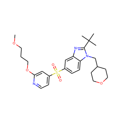 COCCCOc1cc(S(=O)(=O)c2ccc3c(c2)nc(C(C)(C)C)n3CC2CCOCC2)ccn1 ZINC000043178531